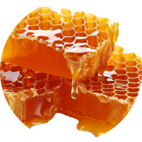 Bijenwas