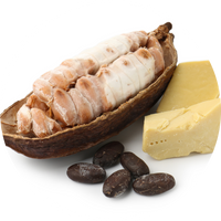 Cacaoboter