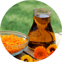 Calendula Olie