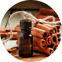 Kaneel extract