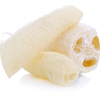 Loofahvezels