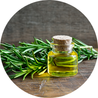 Rozemarijn extract