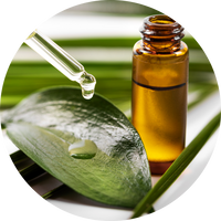 Tea Tree Olie